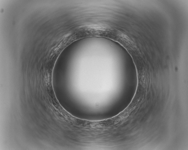 X0000059041061200510101004