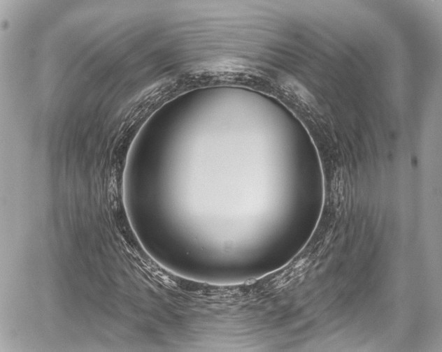 X0000059041062200510101004