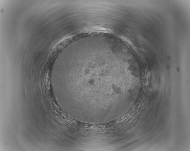 X0000059041063200510101004