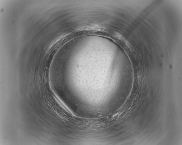 X0000059041064200510101004