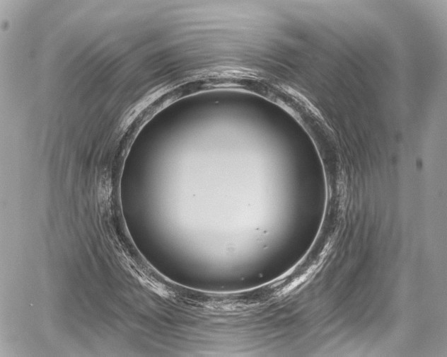 X0000059041065200510101004