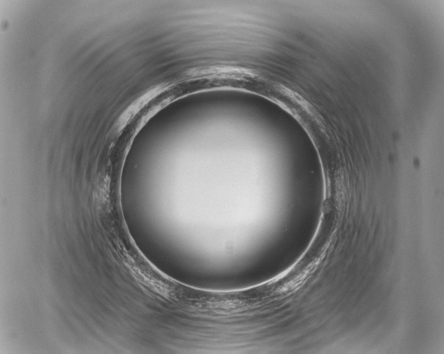 X0000059041066200510101004