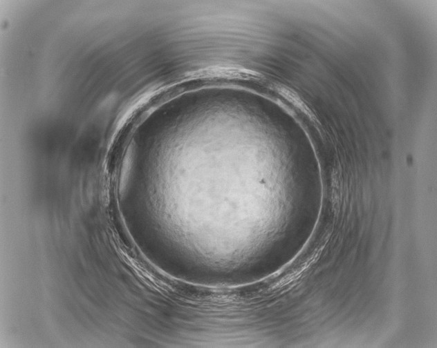 X0000059041067200510101004