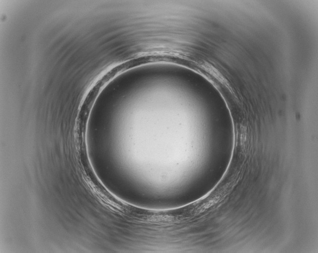 X0000059041068200510101004