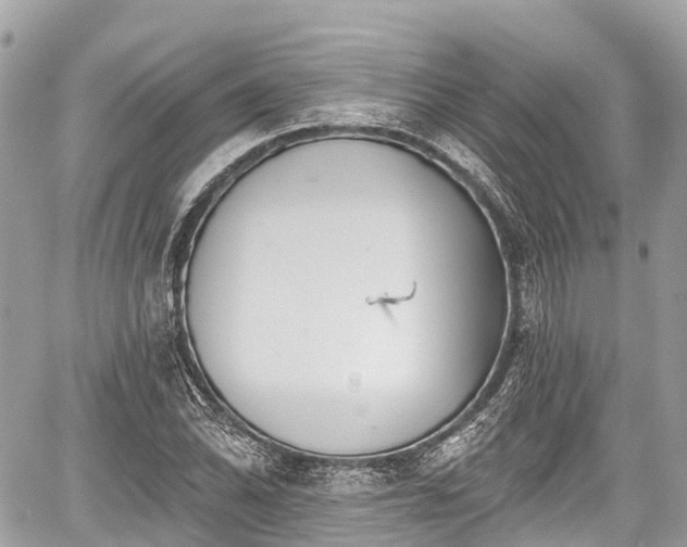 X0000059041070200510101004