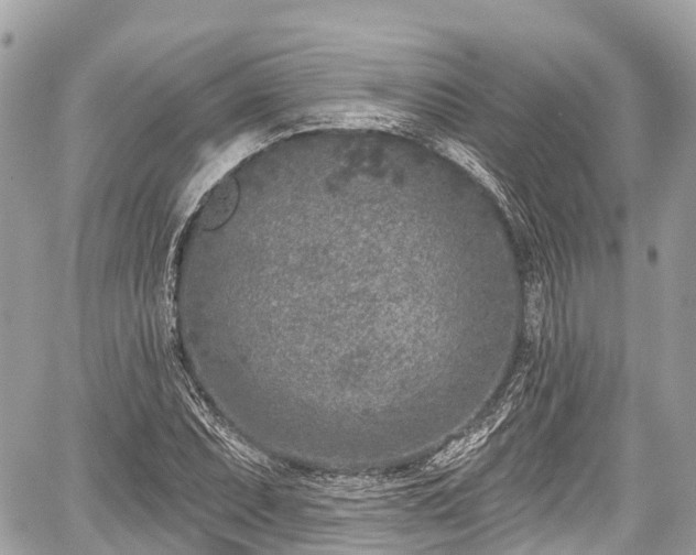 X0000059041071200510101004