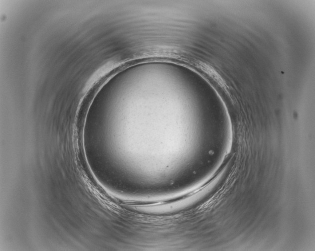 X0000059041072200510101004