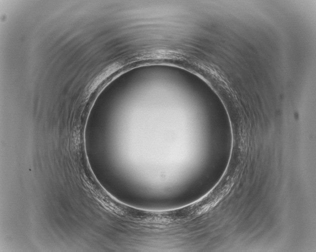 X0000059041073200510101004