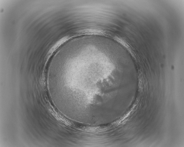 X0000059041074200510101004