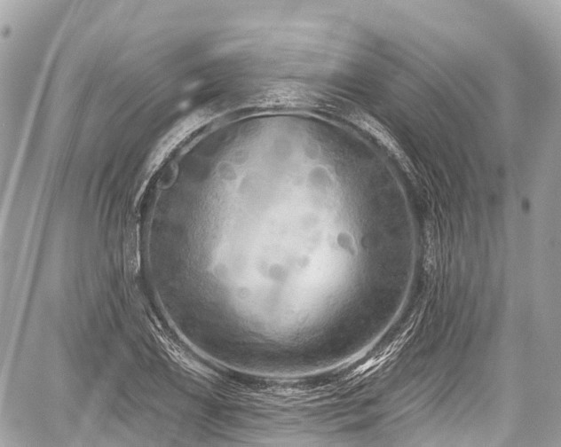 X0000059041075200510101004