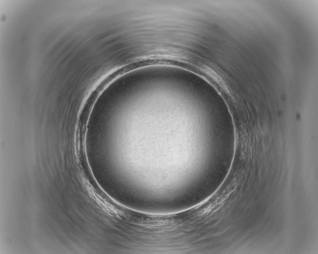 X0000059041076200510101004