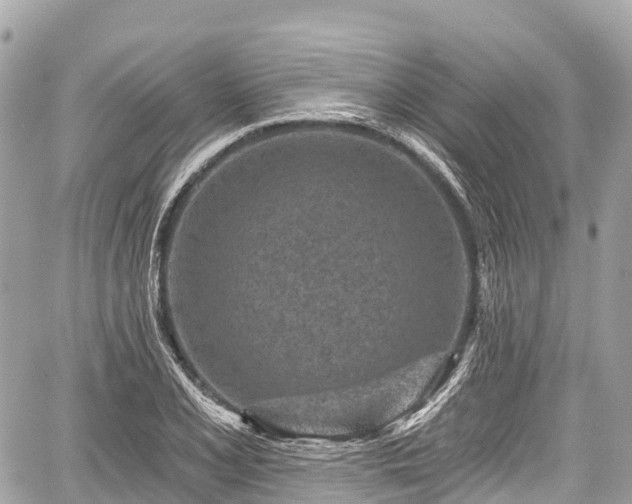 X0000059041077200510101004