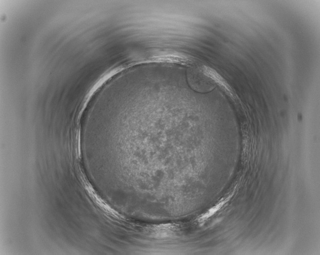 X0000059041079200510101004