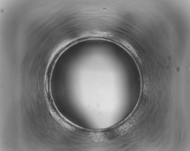 X0000059041080200510101004