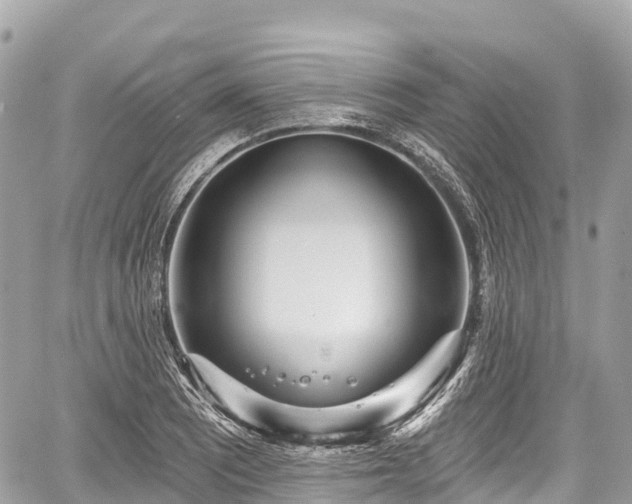 X0000059041081200510101004