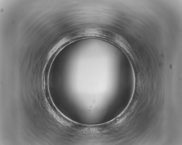 X0000059041082200510101004