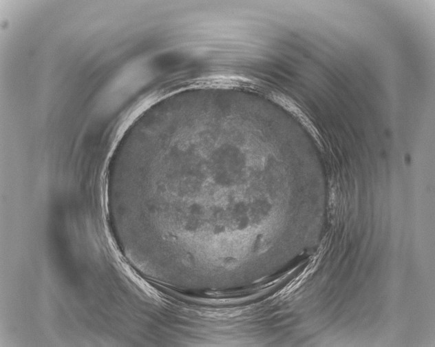 X0000059041083200510101004