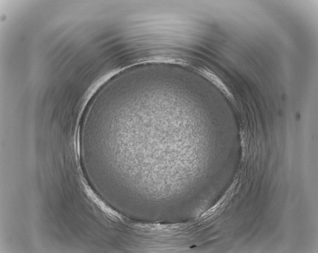 X0000059041084200510101004