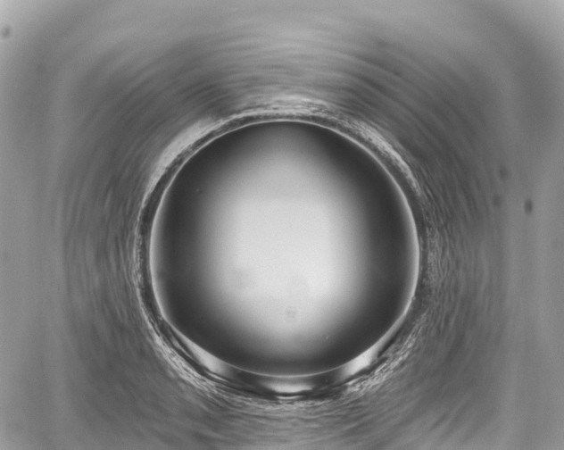 X0000059041085200510101004