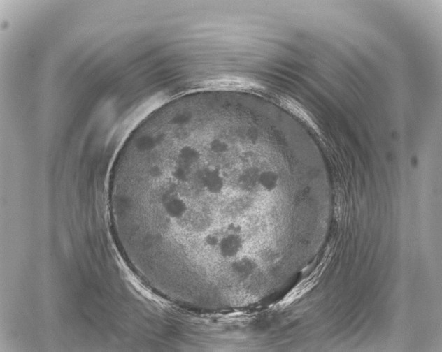 X0000059041087200510101004