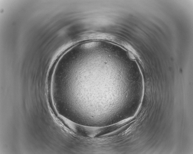 X0000059041088200510101003