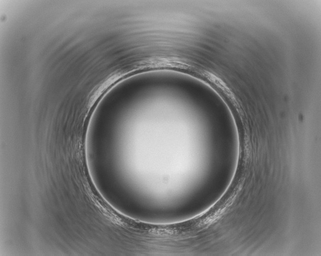 X0000059041089200510101003