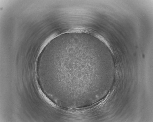 X0000059041091200510101003