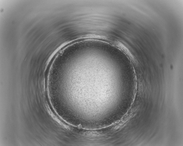 X0000059041092200510101003