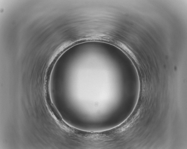 X0000059041093200510101003