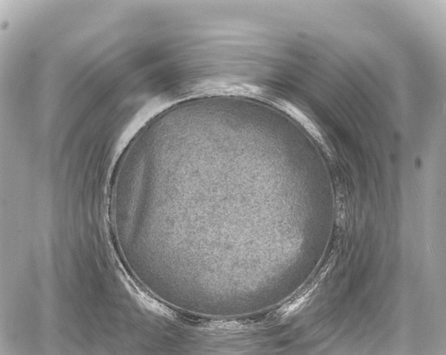 X0000059041094200510101003