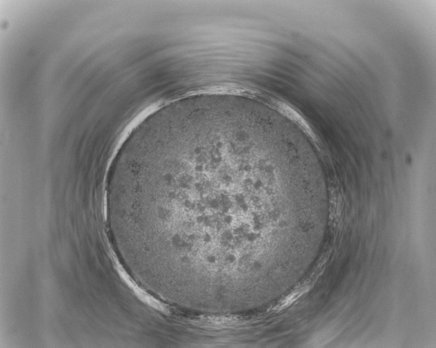 X0000059041095200510101003