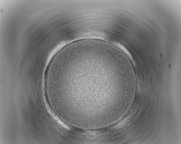 X0000059041096200510101003