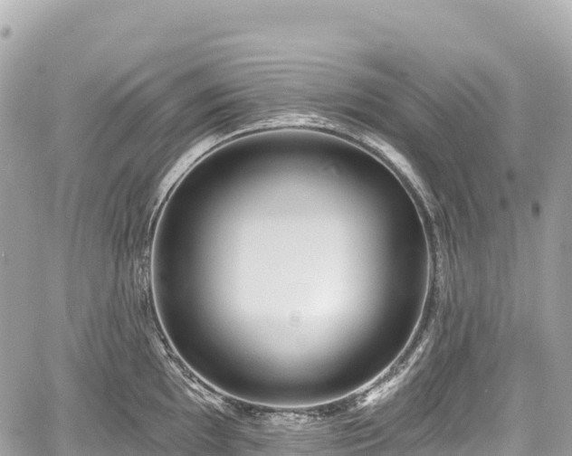 X0000059041097200510101003