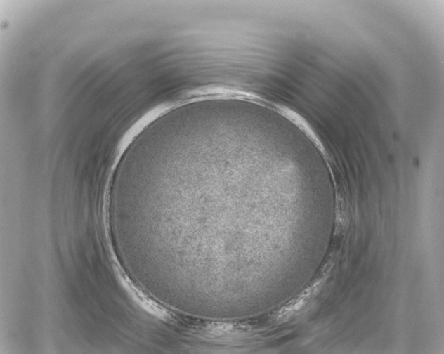 X0000059041098200510101003