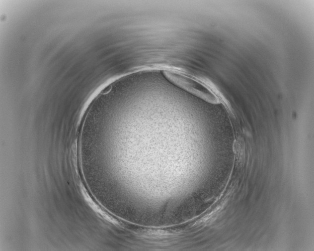 X0000059041100200510101003