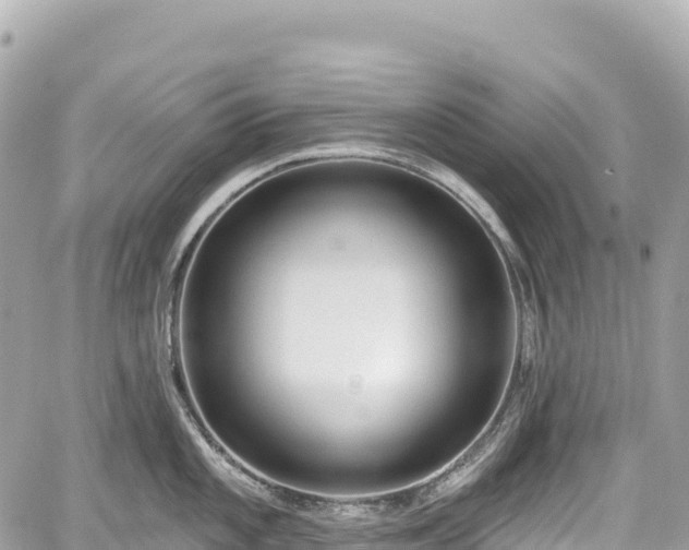 X0000059041101200510101003