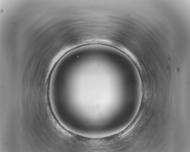 X0000059041102200510101003