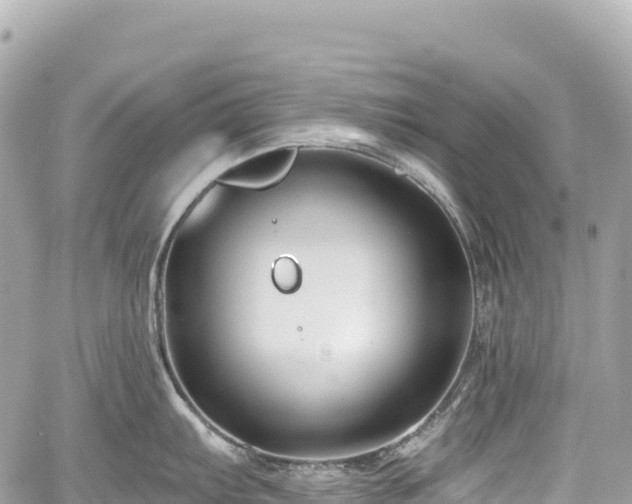 X0000059041103200510101003