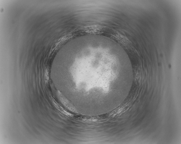 X0000059041106200510101002