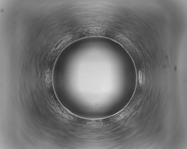 X0000059041107200510101002