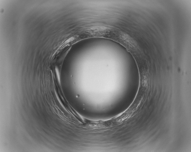 X0000059041108200510101002