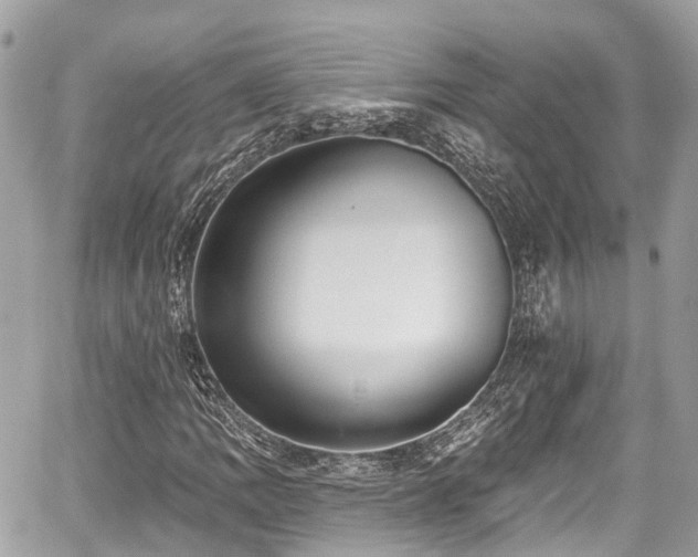 X0000059041109200510101003