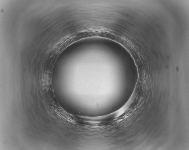 X0000059041110200510101003