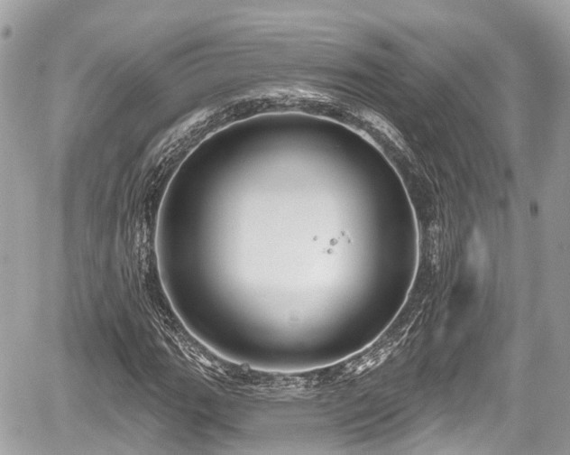 X0000059041111200510101003