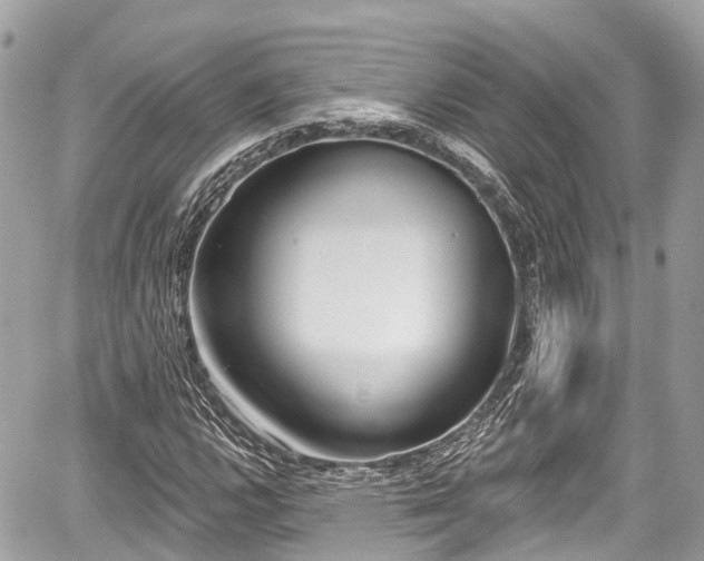 X0000059041112200510101003