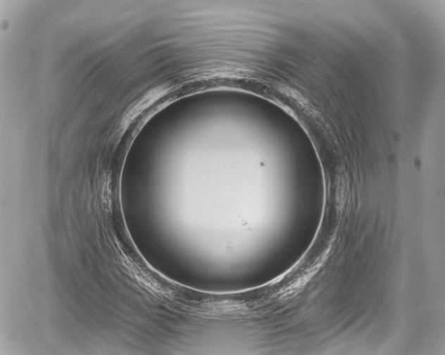 X0000059041113200510101003