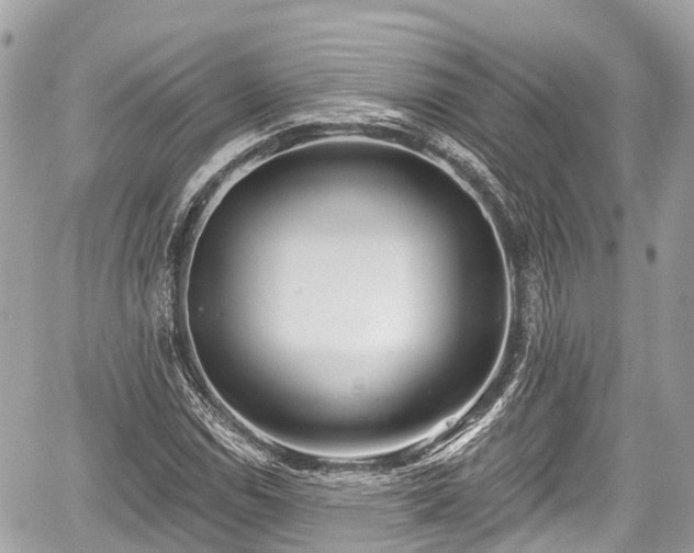 X0000059041114200510101003