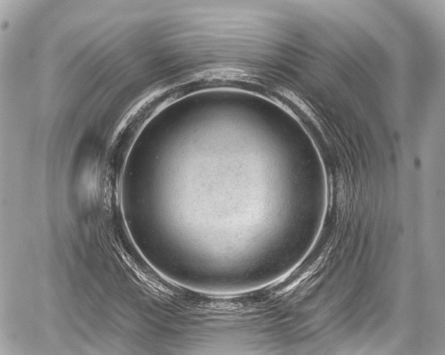 X0000059041115200510101003