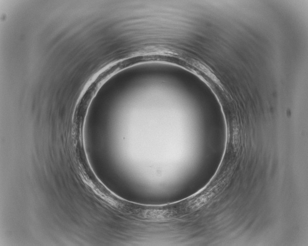 X0000059041116200510101003