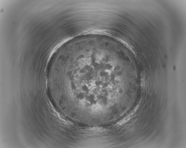 X0000059041117200510101003